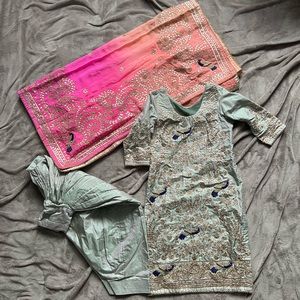 Dual Tone Punjabi Salwar Suit 🦚